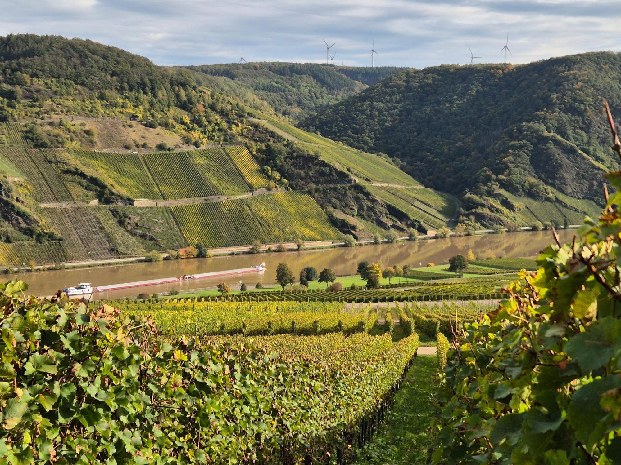 Weingut Mathy-Schanz Osann-Monzel المظهر الخارجي الصورة