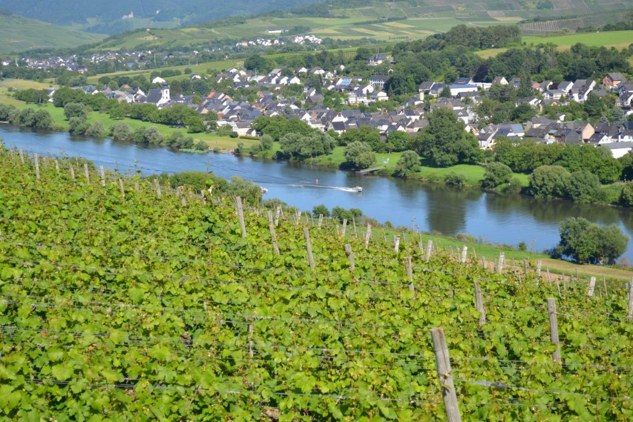 Weingut Mathy-Schanz Osann-Monzel المظهر الخارجي الصورة